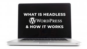 What is Headless WordPress & How it Works