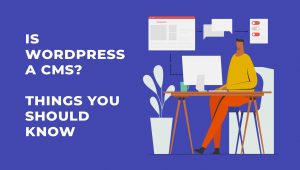 Is WordPress a CMS? 3 Things You Should Know