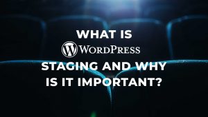 What WordPress Staging and Why is it Important?