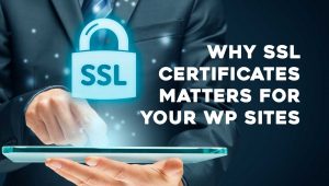 Why your SSL certificate is Important on WordPress