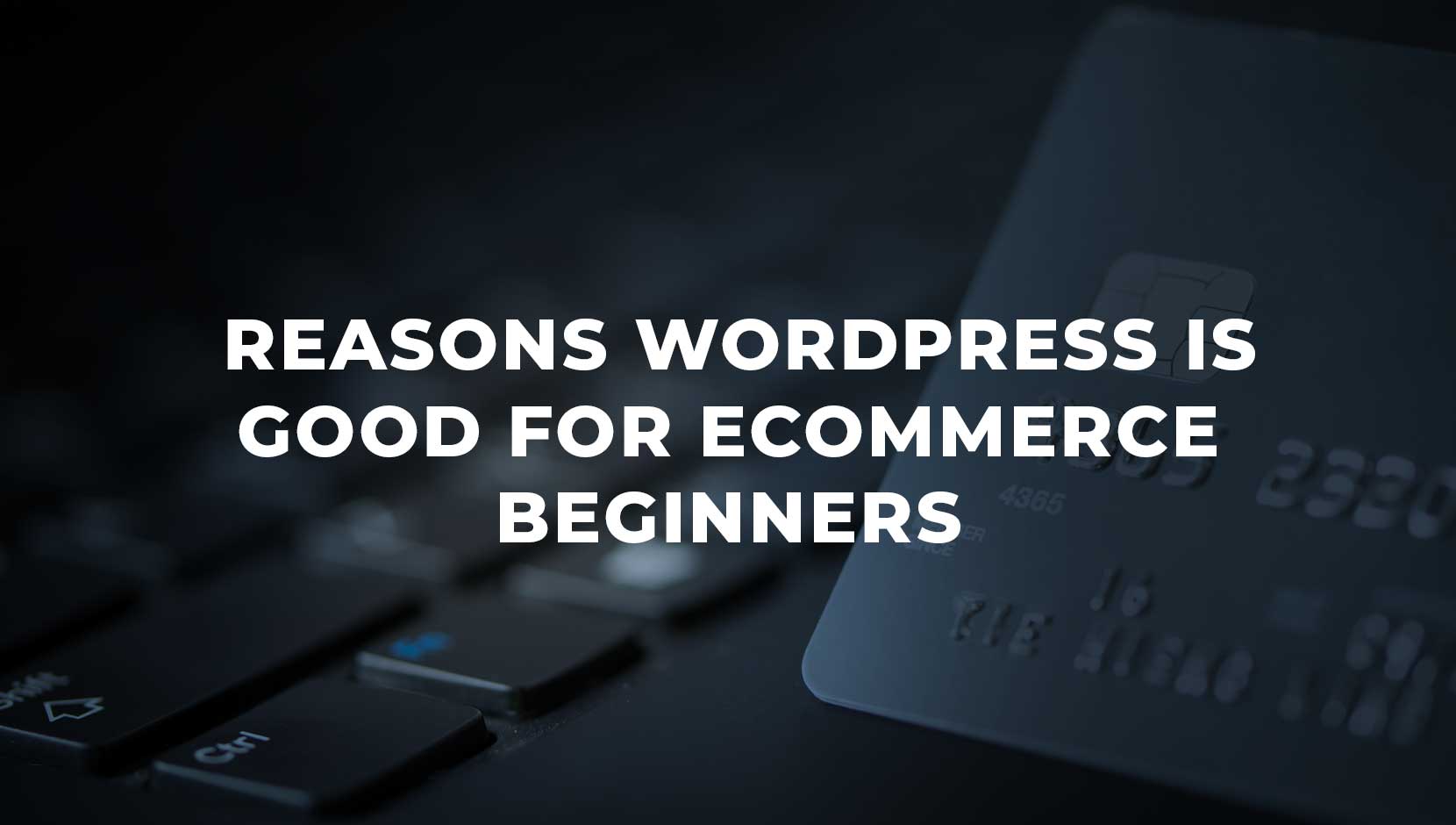 4 Reasons WordPress is Good for eCommerce Sites