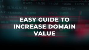 Easy Guide to Increase Domain Value