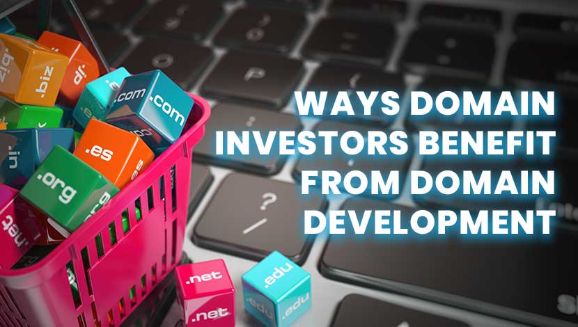 7 Ways Domain Investors Benefit from Domain Development