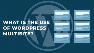 What is the use of WordPress Multisite?