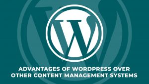 Advantages of WordPress Over Other CMS